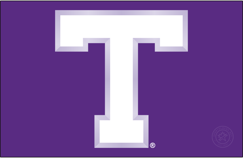 Tarleton Texans 2005-2018 Primary Dark Logo iron on transfers for clothing